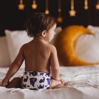 Lighthouse Kids SIGNATURE™️ Pocket Diapers